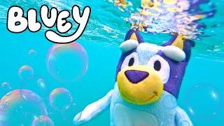 Bluey Underwater Treasure Hunt at the Beach  ️ Bluey Water Park Fun | Learn Colors with Bluey