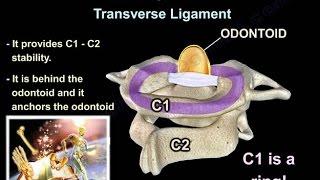 Cervical Spine Trauma - Everything You Need To Know - Dr. Nabil Ebraheim