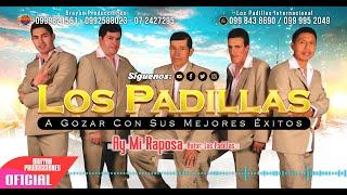 Los Padillas - Ay Mi Raposa (Audio Oficial)