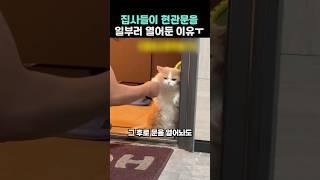 집사들이 현관문을 일부러 열어둔 이유ㅜ