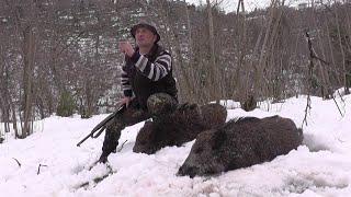 ÇOK BAŞARILI BİR AV ORGANİZASYONU /  AN ORGANIZED WILD BOAR HUNT