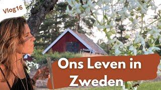 Ons leven in Zweden  // Emigreren naar Zweden Vlog 17  // Maeryêla