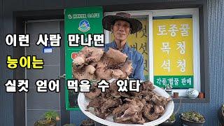 이런 사람 만나면 능이는 실컷 얻어 먹을 수 있다. 능이 대박 구광자리.