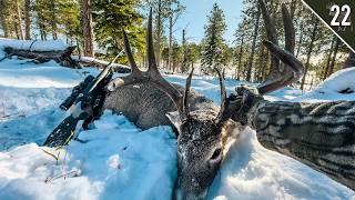 MASSIVE BIG WOODS BUCK! (Public Land Dream Hunt!)