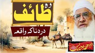 Da Taif Waqia| Shekh idrees sb | Poshto bayan | SHAH TV