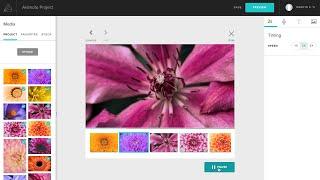 Introducing Animoto's Photo Burst Block