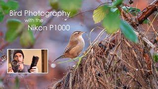 Nikon Coolpix P1000 for bird photography and birdwatching review