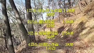 공주시 치유의 숲길 (청춘플러스 1기 이종관 작)