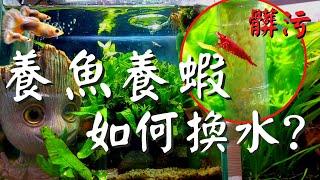 【岳來悅蝦】養魚養蝦換水 換水祕密大公開!! 超方便吸底砂｜新手養魚不再是難事｜新手養蝦越養生越多｜養魚｜養蝦｜換水｜孔雀魚缸｜蝦缸｜過濾器 #6