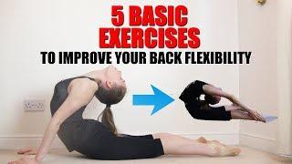 5 BASIC BACK STRETCHES TO IMPROVE YOUR BACK FLEXIBILITY