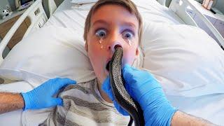 snake got stuck in his nose..