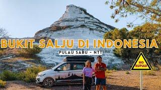 BUKIT SALJU "ABADI" TERBESAR DI INDONESIA, tapi Pulau SABU ini tidak menerima UANG RUPIAH - NTT