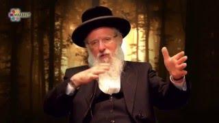 Rabbi Dr. David Gottlieb - Jewish Philosophy: Chassidic Stories and Their Wisdom