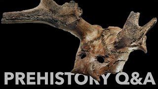 PREHISTORY Q&A with the Prehistory Guys | JULY 2022