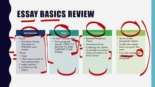 Essay Basics Review Video