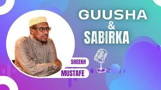 Sheikh Mustafe // Guusha iyo Sabirka