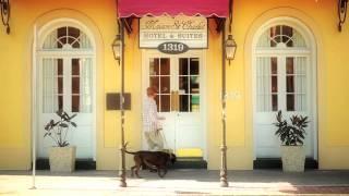 Dog-friendly Travel in New Orleans