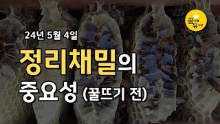 꿀카페유사장 - 24년 정리채밀(꼭 해야하는 이유)