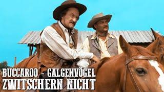 Buccaroo - Galgenvögel zwitschern nicht | Italowestern | Westernfilm in voller Länge