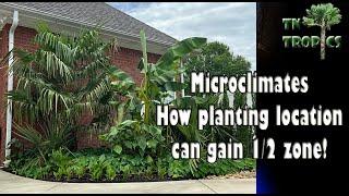 Microclimates - What are they and how to plant using them