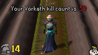 OSRS Ironman Completionist Series | Episode 14 | Your Vorkath kill count is: 50... It's Slayer Time!