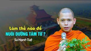 Làm thế nào để nuôi dưỡng TÂM TỪ ? Sư Hạnh Tuệ