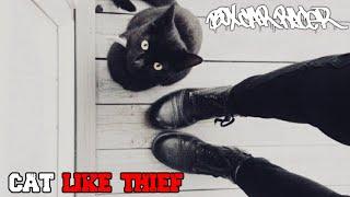 Box Car Racer - Cat Like Thief (Unofficial Lyrics Video)