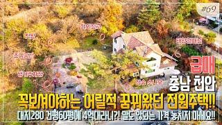 천안 전원주택 매매 어릴적 꿈꿔온 대지280평 건평60평 4억대 광덕 단독주택 급매 Forest Country House