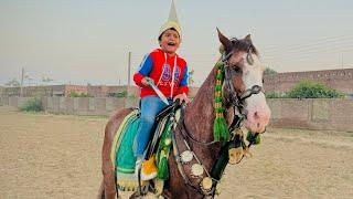 Ali ny khatarnak chapli waly horse  ki ride ki  || Anas bhai horse se girny waly thy  ||