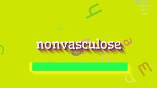 NONVASCULOSE - HOW TO PRONOUNCE NONVASCULOSE?