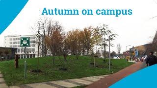 Autumn on the TU Delft campus 