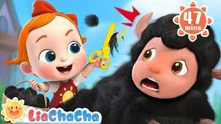 Baa Baa Black Sheep, Have You Any Wool? | Song Compilation + LiaChaCha Nursery Rhymes & Baby Songs