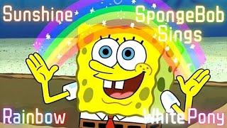 SpongeBob Sings Sunshine, Rainbow, White Pony