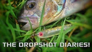 The Dropshot Diaries - Session 4 - Drop Shot Fishing For Pike And Perch!