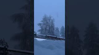 Nevicata  a Valle di Cadore ️️️23/02/2024