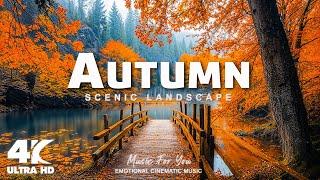 Beautiful Autumn Scenic Landscape 4K  Enchanting Autumn Forests, 4K Autumn Nature Relaxation Film