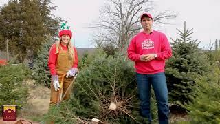 Jones Family Farms Tips to Cut Down Your Christmas Tree