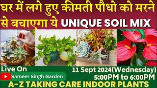 घर में लगे हुए कीमती पौधो को मरने से बचाएगा ये Unique Soil Mix || A-Z TAKING CARE INDOOR PLANTS