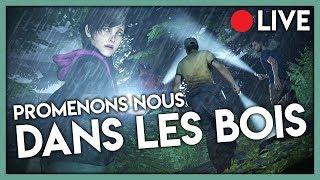 PROMENONS NOUS, DANS LES BOIS ... - Dead By Daylight [SURVIVANT]