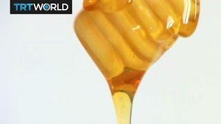 Ethiopia seeks to boost honey production