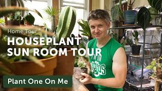 Tour Tomasz's SUN ROOM Full of HOUSEPLANTS — Ep. 388