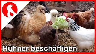 024 Stallpflicht- Beschäftigungsideen für Hühner im Knast -Vogelgrippe 2020- Hühner beschäftigen 