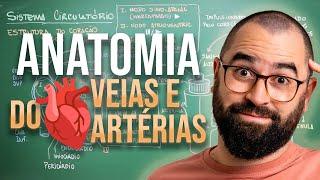 Anatomia do coração, veias e artérias - Aula 25 - Módulo 7: Fisiologia Humana