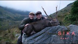 Sikajagt i Irland - part 1 / Sika deer hunting in Ireland - part 1