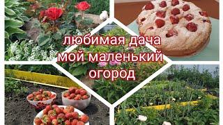 любимая дача/мой маленький огород- небольшой обзор