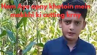 Safwan jadoon village vlog/Ham aye apny khatoin mein/#safwanjadoon#village#dailyvlog