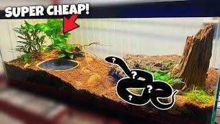 Corn Snake Setup (CHEAP AND EASY!)