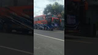 Bus rafi talitha