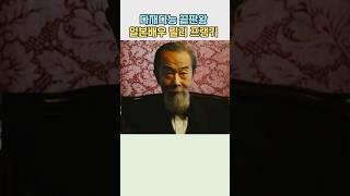 하얼빈 이토히로부미의 다중생활