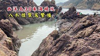 【阿向赶海】西洋岛30米海峡坑，动物血引来八爪怪霸窝繁殖，野生红斑一条值700